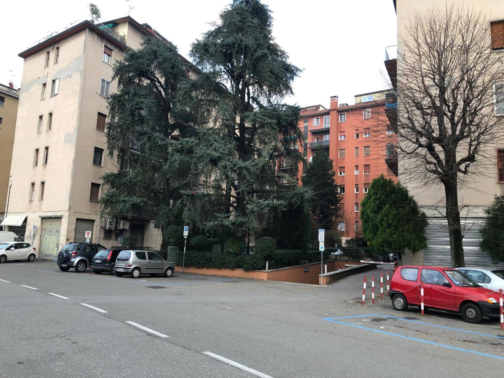 Tra Le Torri B&B - Ampia Stanza Privata In Appartamento Con Bagno Privato Accessibile Da Corridoio Bologna Kültér fotó